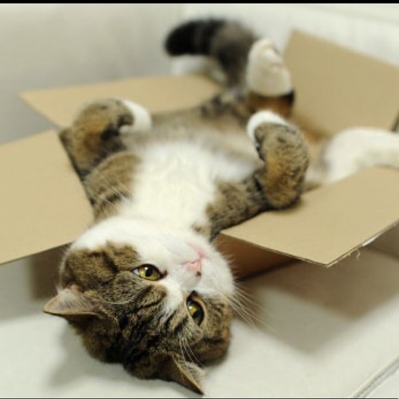 🌿I Pack With Care & Bubble Wrap🌿 - Picture 11 of 16